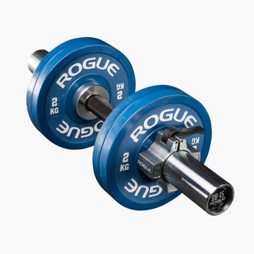 Rogue weights dumbbells on sale